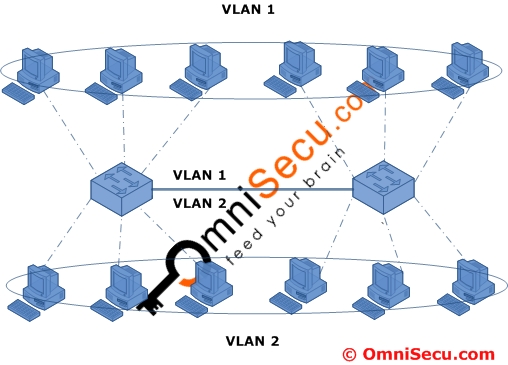 Access and trunk links