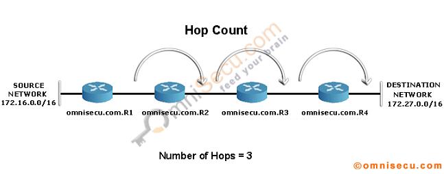 RIP Hop Count Lab