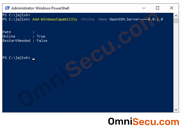 02-install-openssh-ssh-server-using-powershell.gif