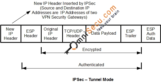 IPSec Tunnel mode encapsulation