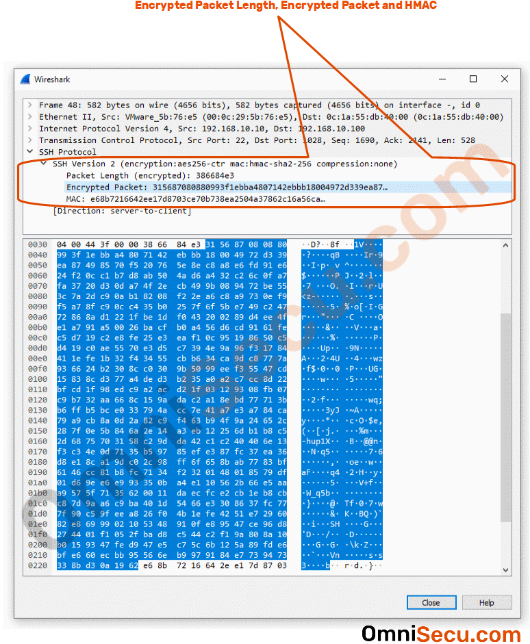 actual-ssh-encrypted-network-traffic.gif