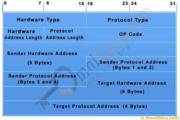 Address Resolution Protocol ARP Message Format