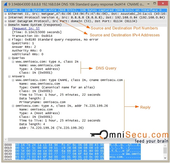 DNS Reply Captured