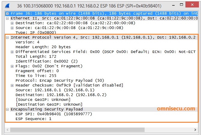 ESP IPSec packet