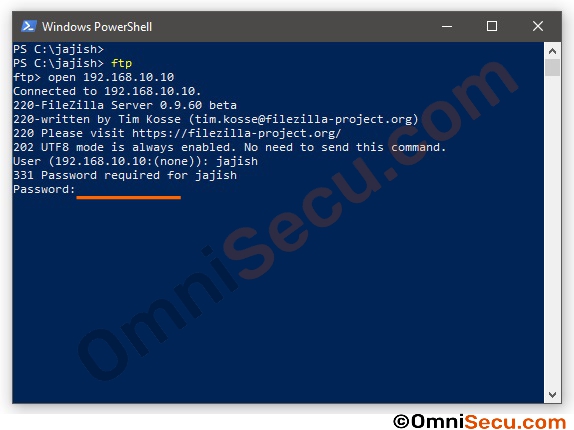 windows-command-line-ftp-client-05.jpg