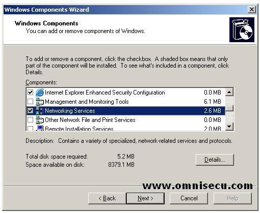 DNS installation DNS Selected